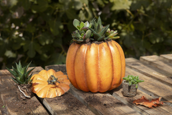 Autumnal styling, sandwiches and scones at Dobbies Cirencester