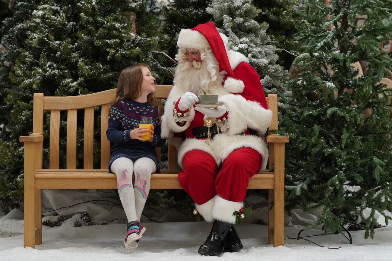 Dobbies Santa's Breakfast - Photo Stewart Attwood