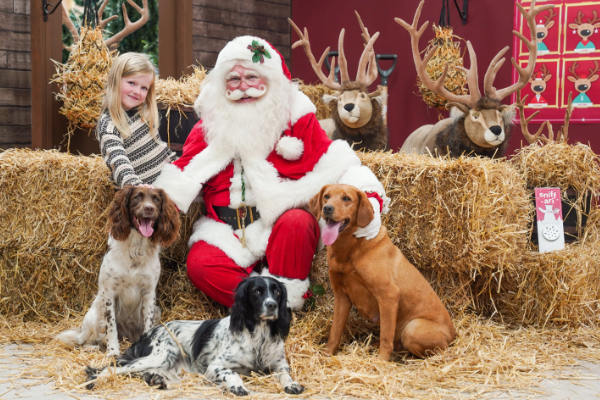 Santa Paws is coming to Cirencester