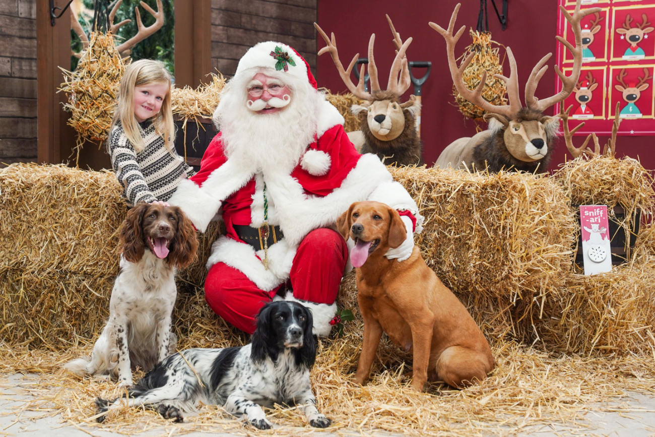 Santa Paws is coming to Cirencester